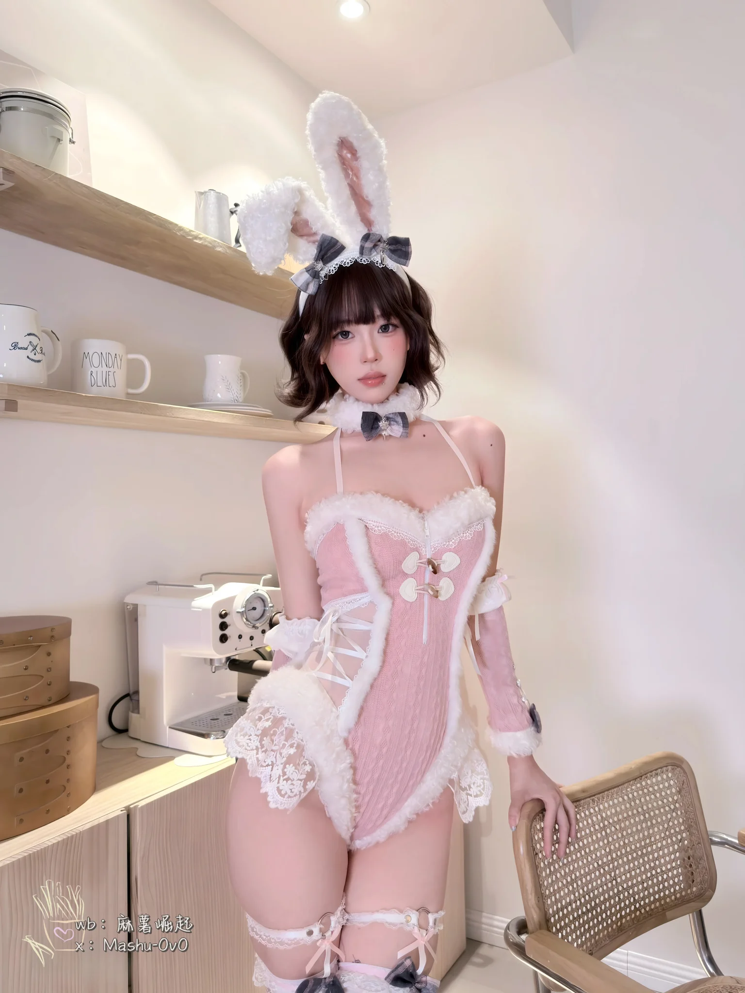 雪季家养兔 · 19