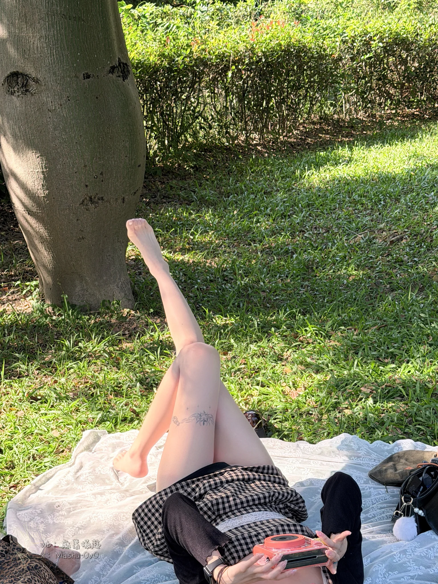 绿意深处的邀约 · 39