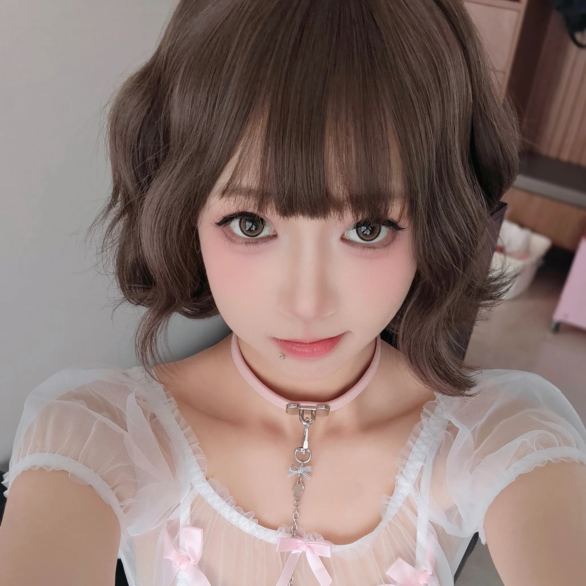 蝴蝶结小狗 · 1