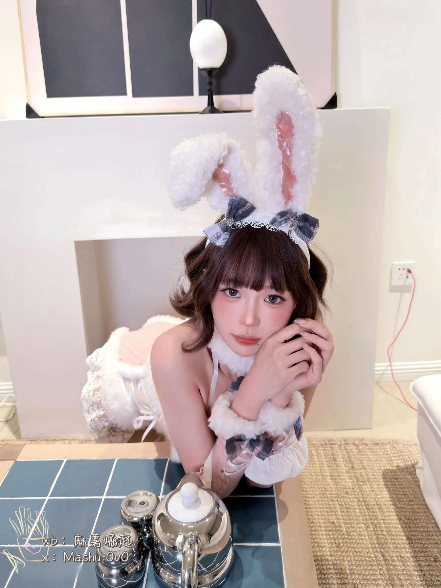 雪季家养兔 · 24