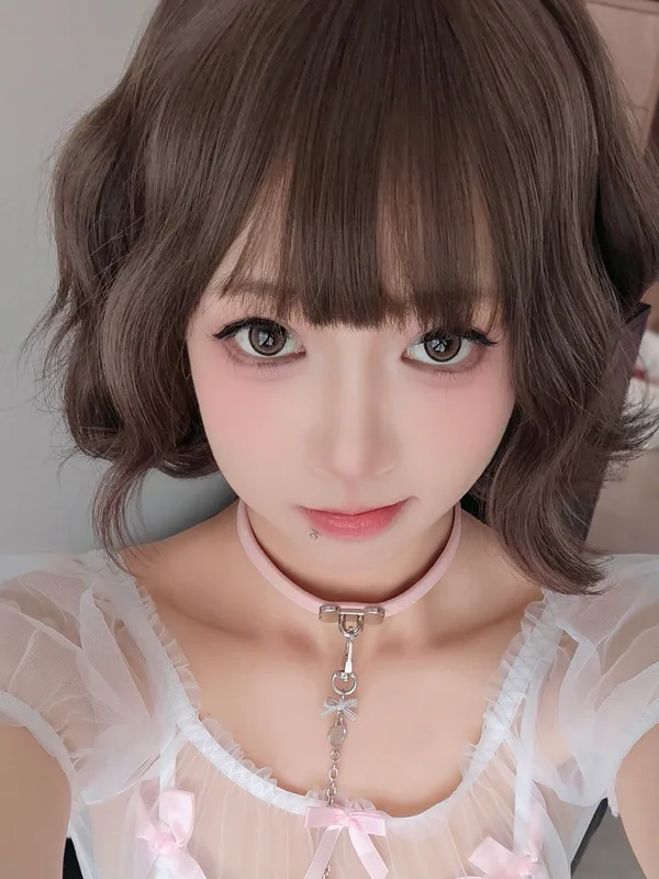 蝴蝶结小狗